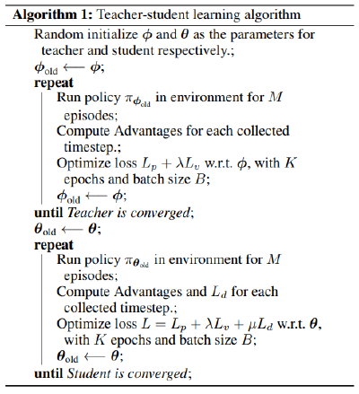 oracle_policy